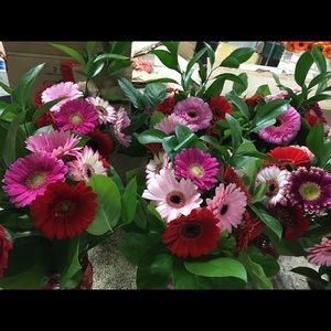 Meet your Posher, Deanna